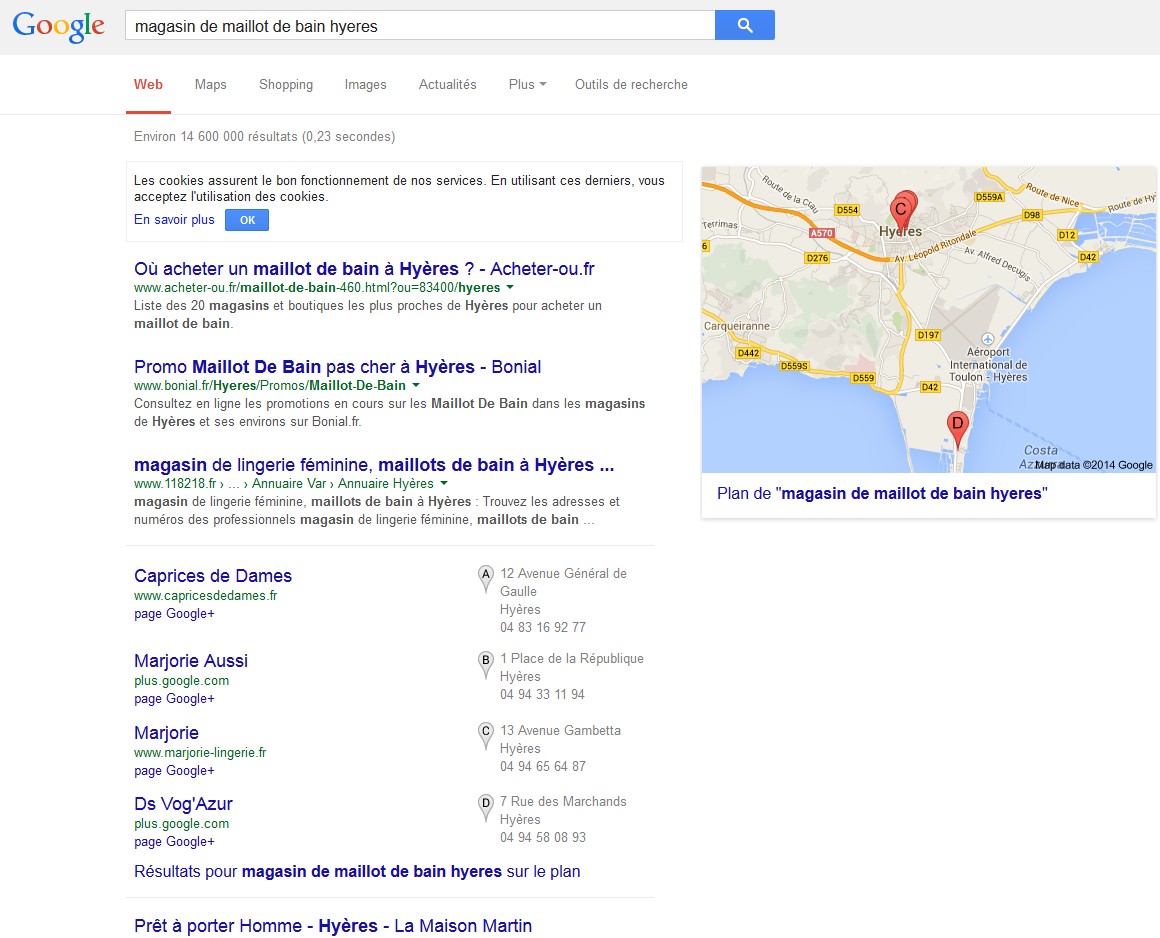 google referencement local